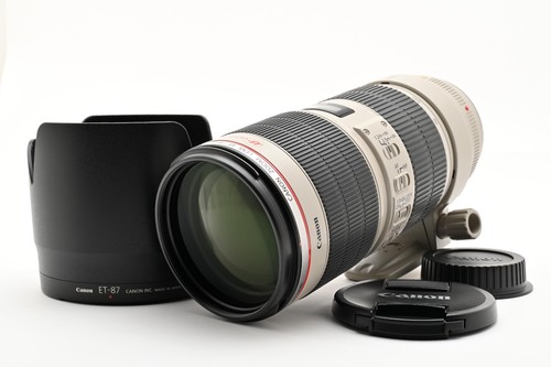 Canon 200 2 8 f2 - mm, f2.8