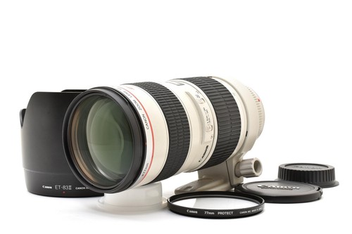 Canon 200mm 8l usm - 70-200mm, f2.8l