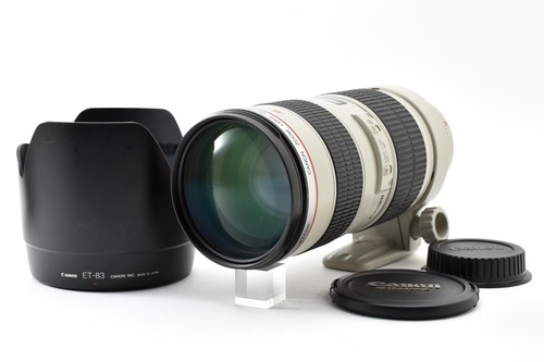 Mint w hood canon ef - mint+++,