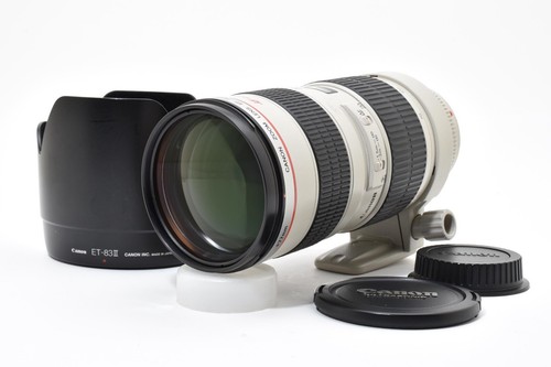 Canon 200mm 8 l usm - 70-200mm,
