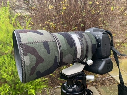 Canon 200 f2 - rf, 70