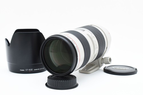 Top mint con cappuccio - con, canon
